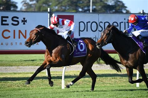 tibbie stakes|Tibbie Stakes results and replay – 2021 .